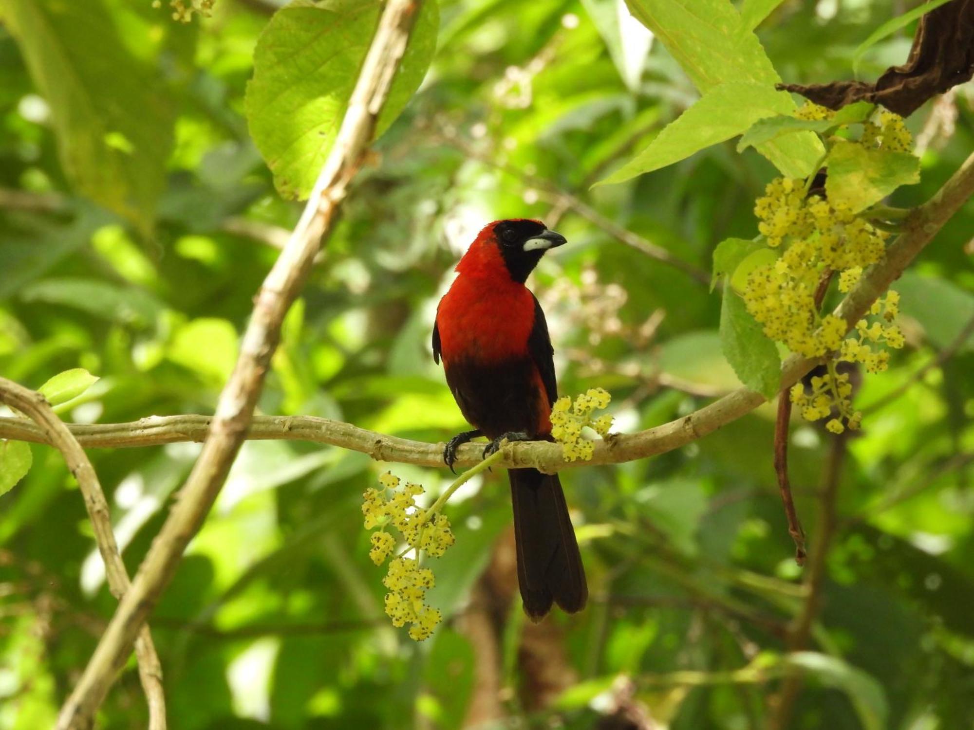 Lodge Awana Rio Arajuno